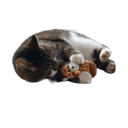 Beeztees Jungle Wobblers pluszowa zabawka kiwaczek dla kota