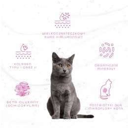 Hippovet Pharmacy GastricAid Cat 250 ml – żel wspierający żołądek i jelita kota