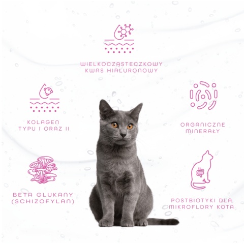 Hippovet Pharmacy GastricAid Cat 250 ml – żel wspierający żołądek i jelita kota
