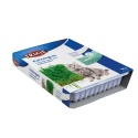 Trixie Trawa dla Kota w Pojemniku 130g