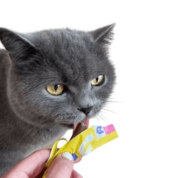 WOW CAT Soft Sticks Kurczak miękkie patyczki przysmaki dla kota