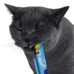 WOW CAT Soft Sticks Łosoś miękkie patyczki przysmaki dla kota